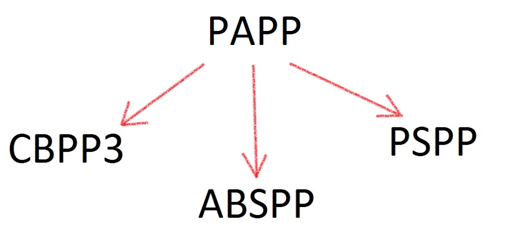 ECB PAPP sastāvdaļas ECB PAPP sastāvdaļas