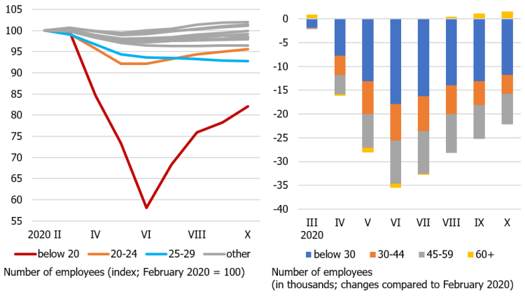 Employment changes by age group (seasonally adjusted data) 