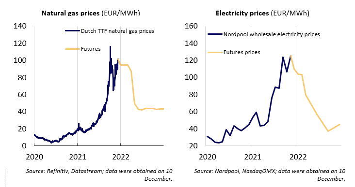 Natural gas and electricity prices