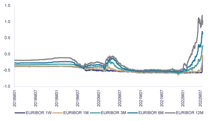 Euro money market rates with different maturities (%)