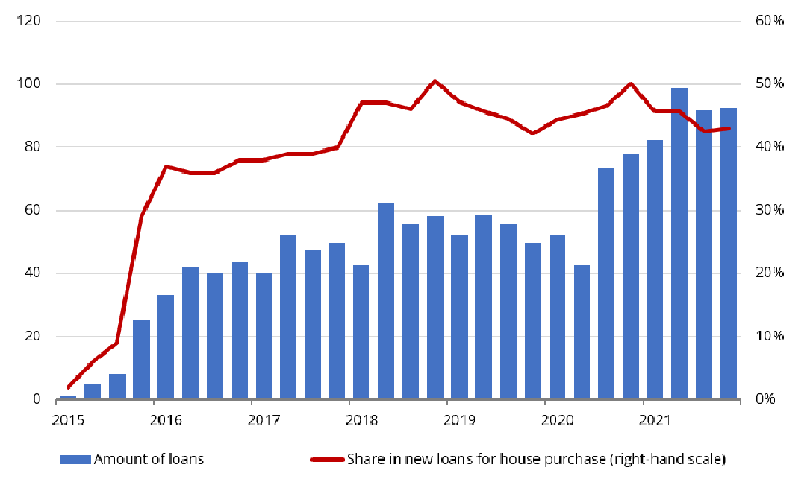 State-guaranteed loans for house purchase