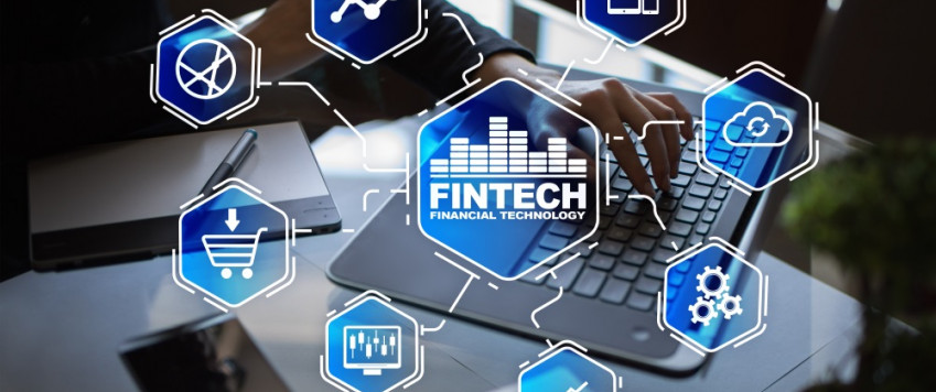  Brief overview of the world of FinTech payments. What is the area of activity of the world's leading companies?