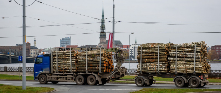 Truck with timber, illustrative picture