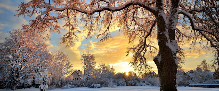 Winter in Latvia