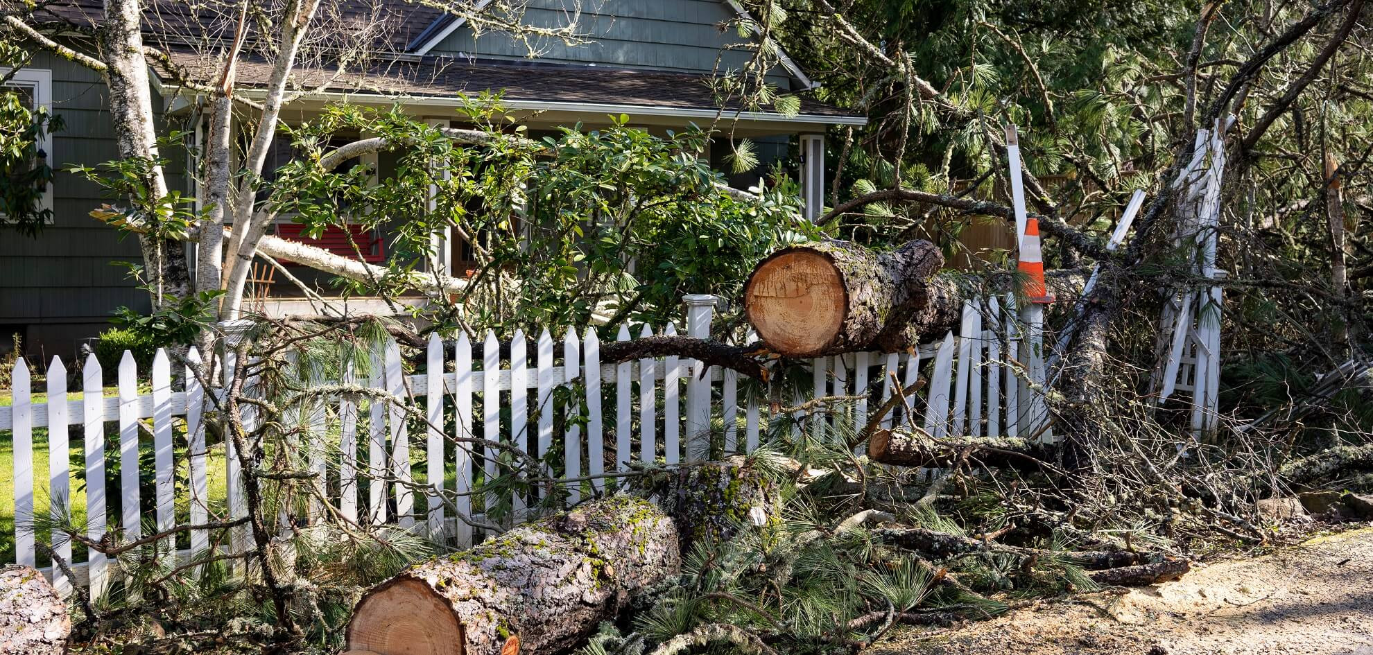 Natural disaster strikes: how to tame the loss  monster?