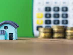 The price level remained unchanged in January