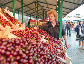 Illustrative photo woman selling cherries